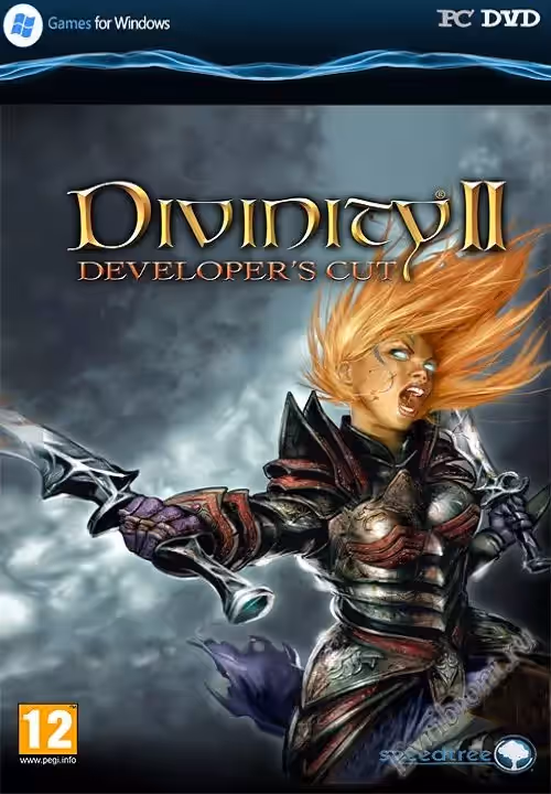 Божественность 2: Developer's Cut / Divinity 2: Developer's Cut (RePack)