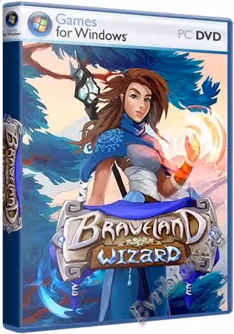 Braveland Wizard