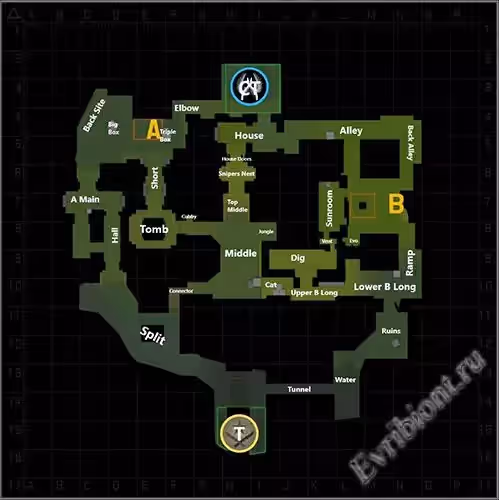 Авторитетные мнения о Ancient в CS:GO