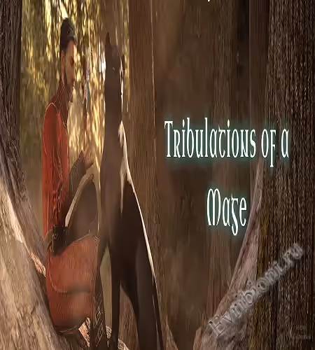 Стимулирование мага / Tribulations Of A Mage