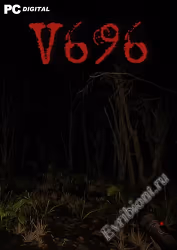 V696 (Лицензия)