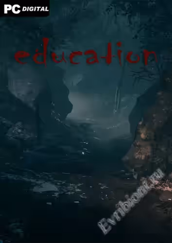 Образование / Education (Лицензия)