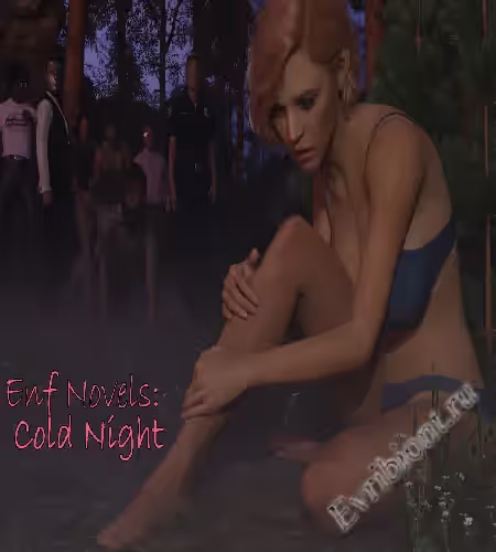 Энф Романы: Холодная ночь/ Enf Novels: Cold Night