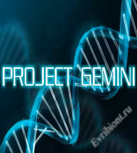 Проект «Джемини» / Project Gemini
