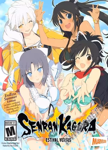 Сенран Кагура: Эстиваль против / Senran Kagura: Estival Versus (Пиратка)