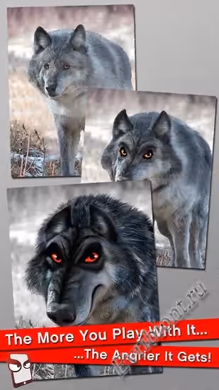 Симулятор Волка / Wolf Simulator (Лицензия)