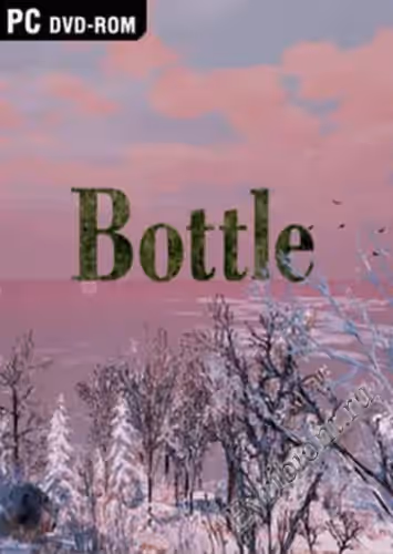 Бутылка / Bottle