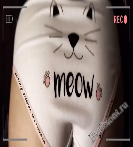 Программа обмена: Новый сосед по комнате / Exchange Program: New Roommate