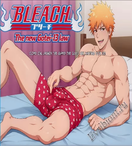Блич: Новый Закон Готей-13 / Bleach: The New Gotei-13 Law